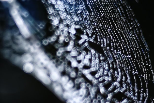 A close-up of a high-end graphics card (GPU) with intricate cooling mechanisms and LED lighting, emphasizing its power and advanced design.