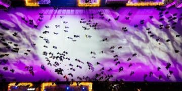 Esports Tournament Prize Pools in the US: Biggest Payouts - Cover Image