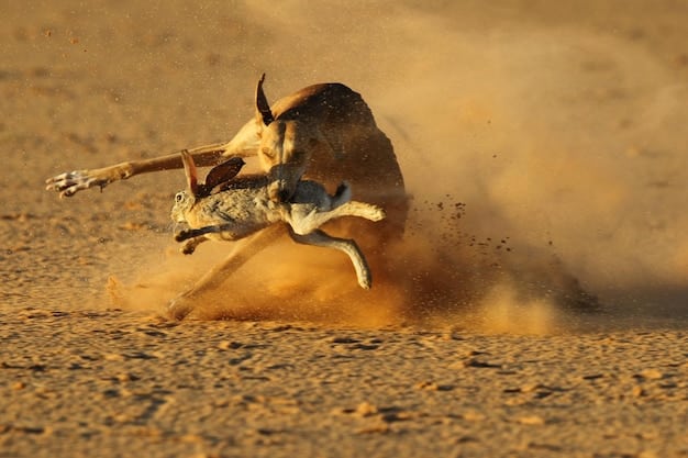 A hunter battles a Diablos in a sandy desert arena. The Diablos charges aggressively, while the hunter dodges to the side, preparing to counterattack with a longsword.